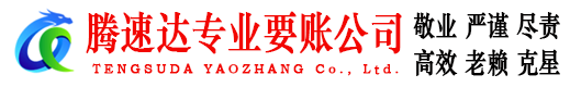龙文腾速达讨账公司