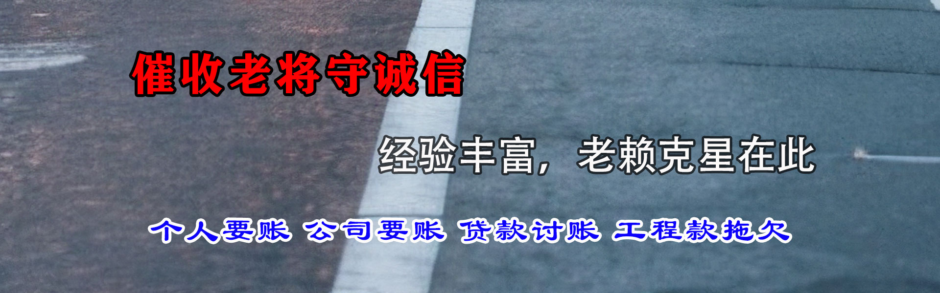 龙文讨账公司